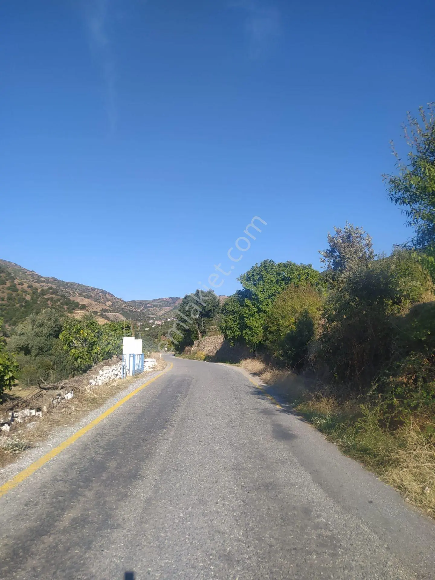 Kozdere'de Ana Yol Kenarı Zeytinlik İncirlik — fotoğraf 4