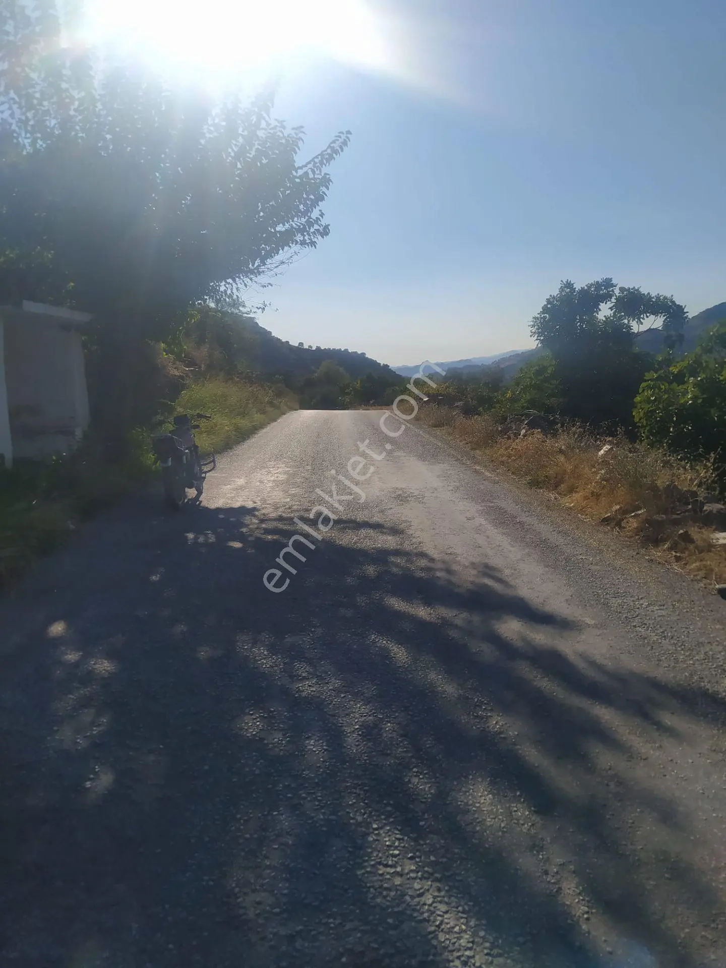 Kozdere'de Ana Yol Kenarı Zeytinlik İncirlik — fotoğraf 5
