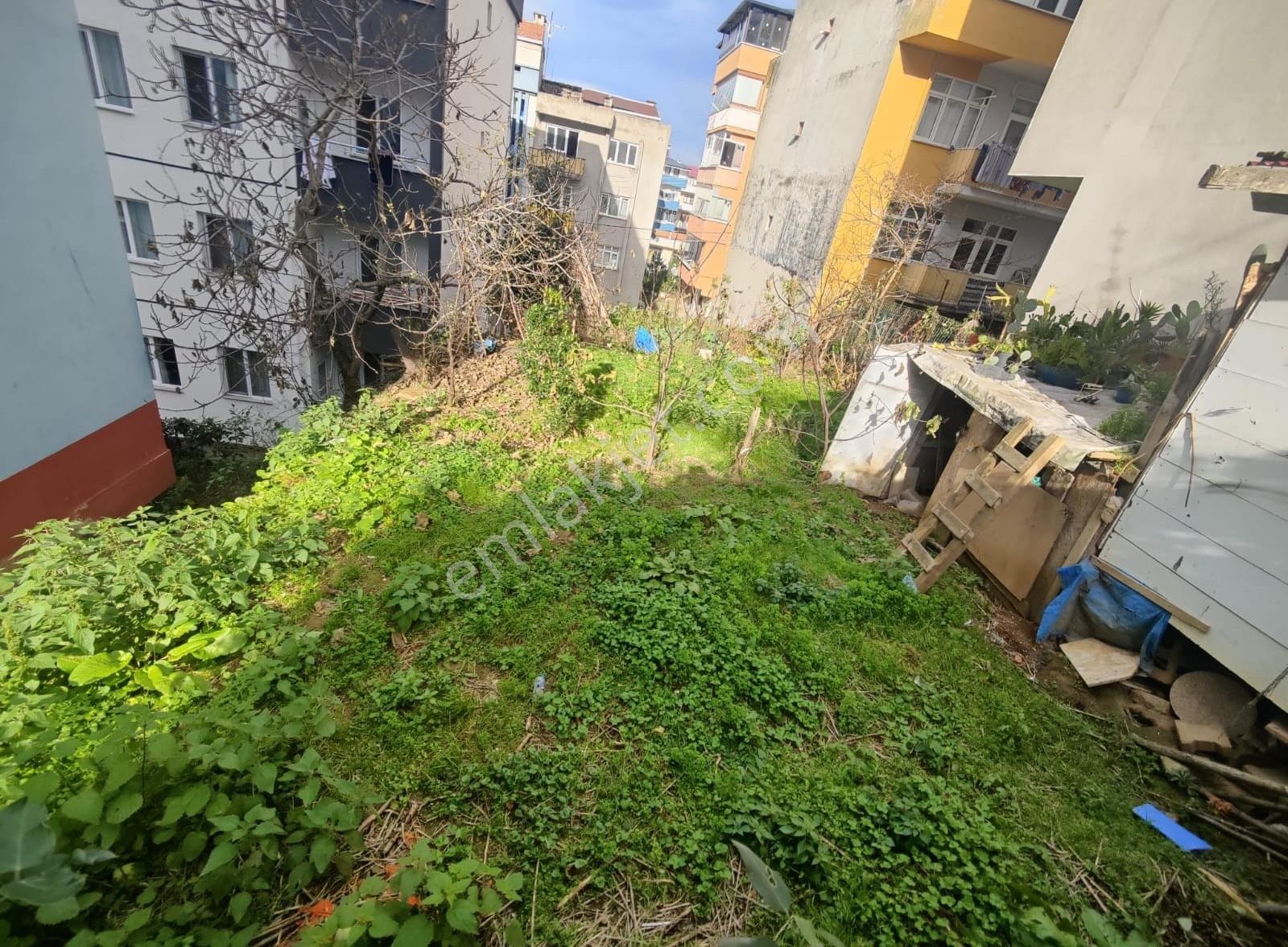Yalıncak Adli Tıp Üstü Sahile Yakın 4 Kat İmarlı Arsa — fotoğraf 7