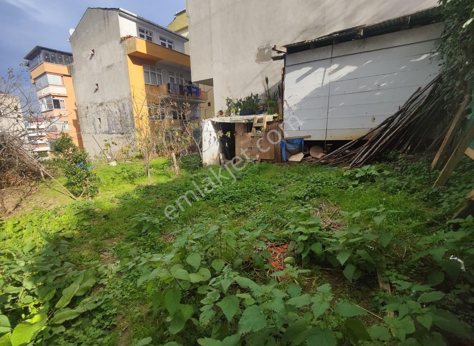 Yalıncak Adli Tıp Üstü Sahile Yakın 4 Kat İmarlı Arsa — fotoğraf 8