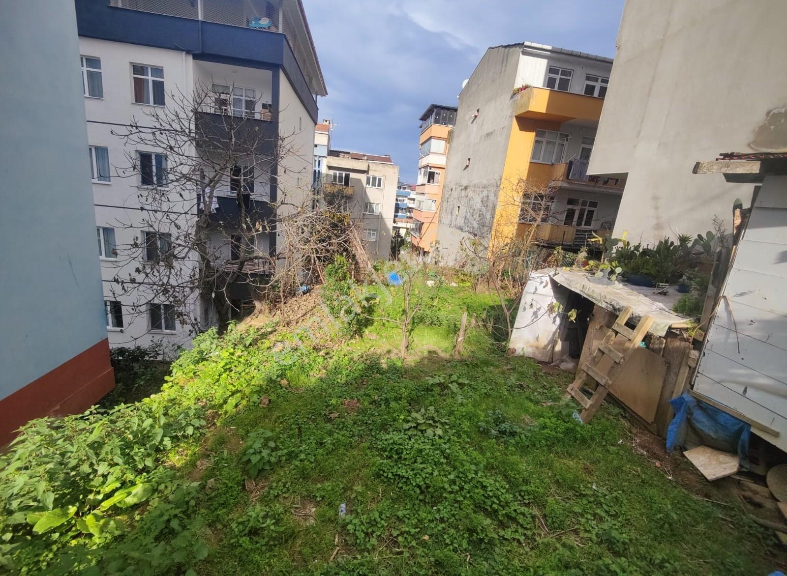 Yalıncak Adli Tıp Üstü Sahile Yakın 4 Kat İmarlı Arsa — fotoğraf 23