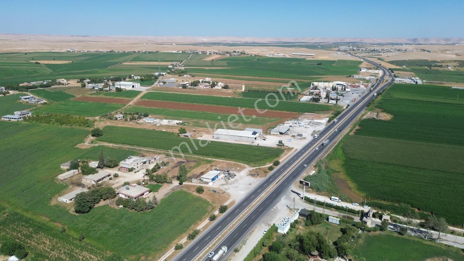 Erzden Şanlıurfa Haliliyede Yola Cepheli 10.150 M² Satılık Ara — fotoğraf 2