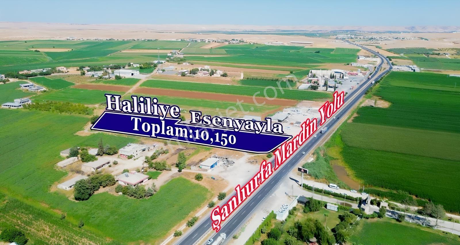 Erzden Şanlıurfa Haliliyede Yola Cepheli 10.150 M² Satılık Ara — fotoğraf 3