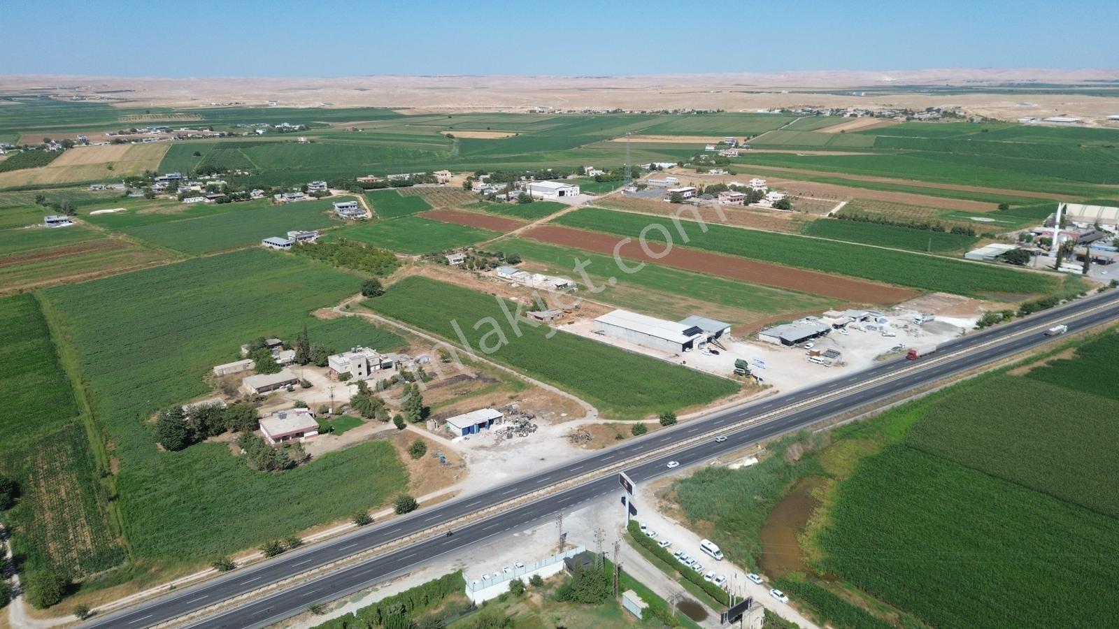 Erzden Şanlıurfa Haliliyede Yola Cepheli 10.150 M² Satılık Ara — fotoğraf 8