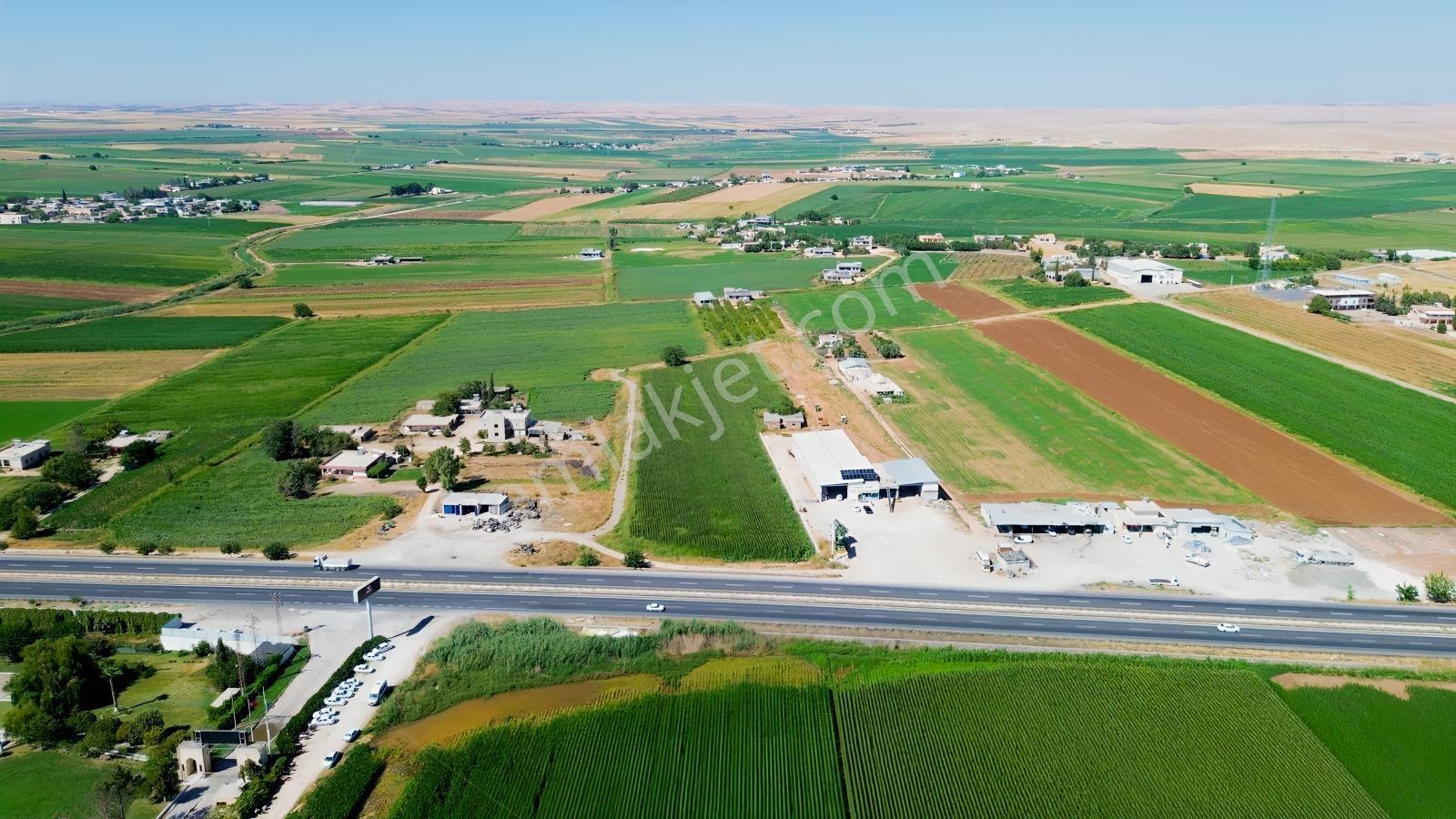 Erzden Şanlıurfa Haliliyede Yola Cepheli 10.150 M² Satılık Ara — fotoğraf 10