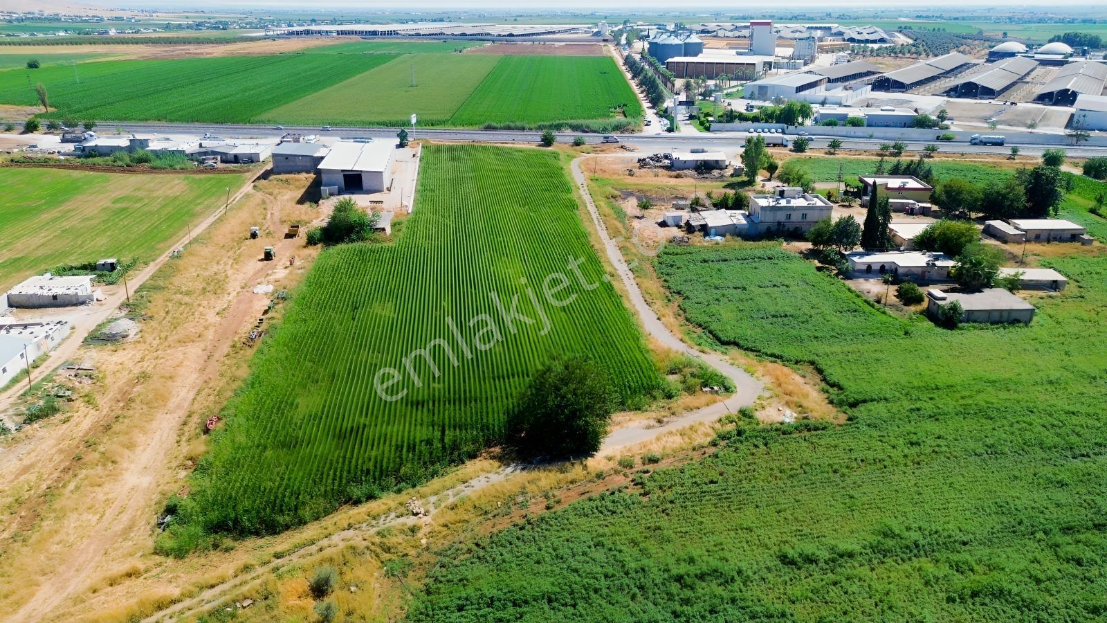 Erzden Şanlıurfa Haliliyede Yola Cepheli 10.150 M² Satılık Ara — fotoğraf 13