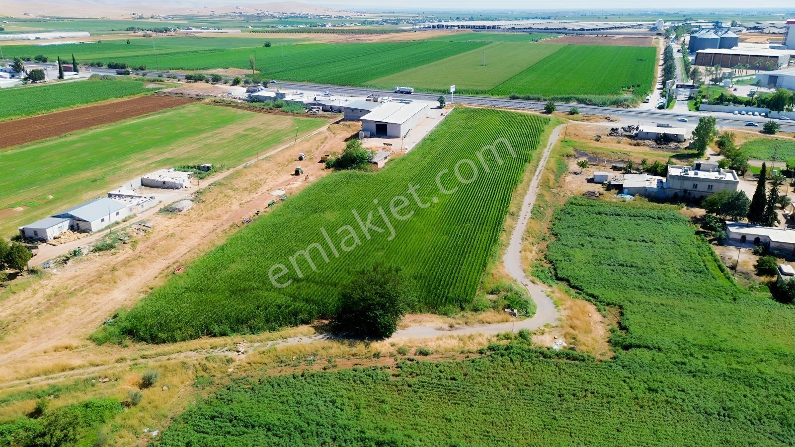 Erzden Şanlıurfa Haliliyede Yola Cepheli 10.150 M² Satılık Ara — fotoğraf 14