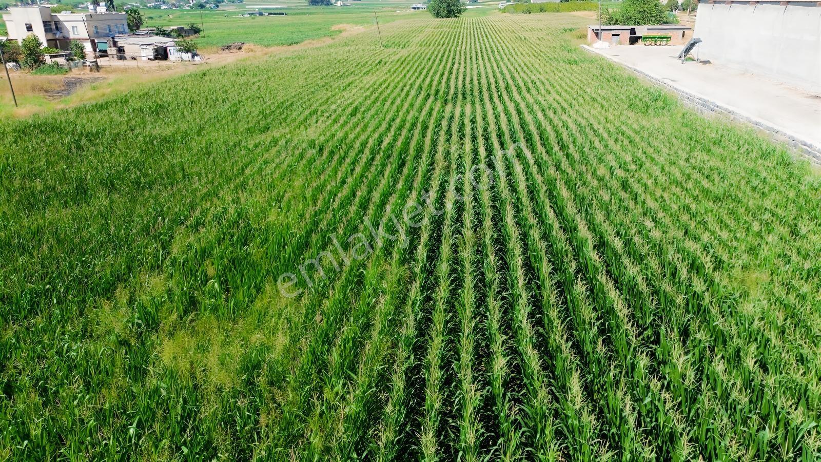 Erzden Şanlıurfa Haliliyede Yola Cepheli 10.150 M² Satılık Ara — fotoğraf 18
