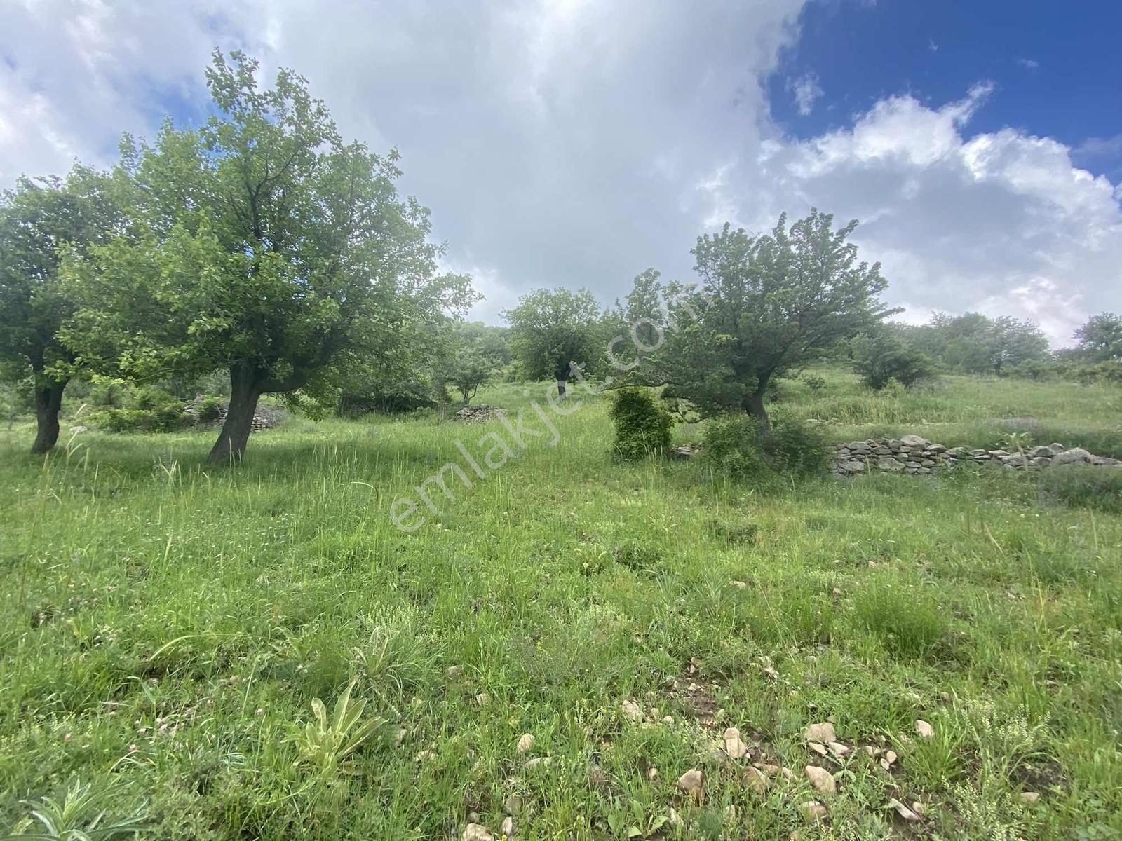 Kırker'den Kocatepe-zafer 15.343m² Satılık Kupon Tarla Bahçe ! — fotoğraf 7