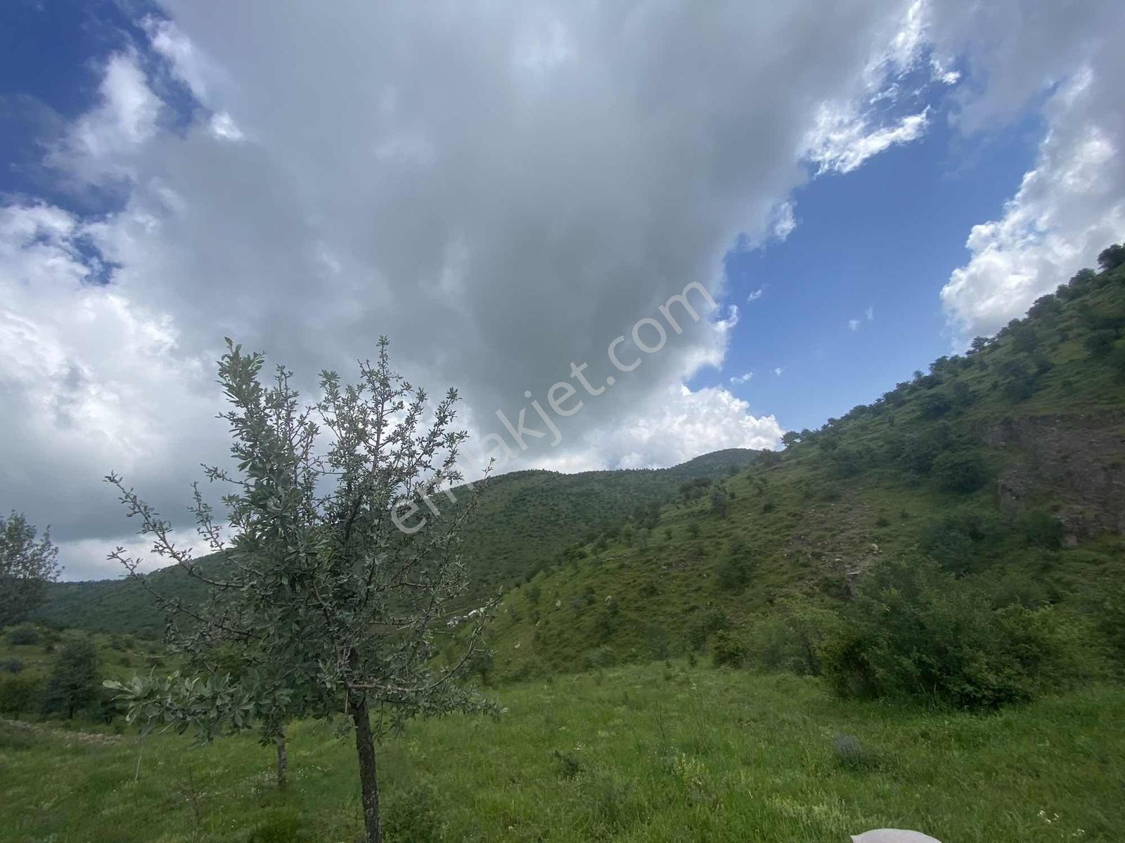 Kırker'den Kocatepe-zafer 15.343m² Satılık Kupon Tarla Bahçe ! — fotoğraf 8