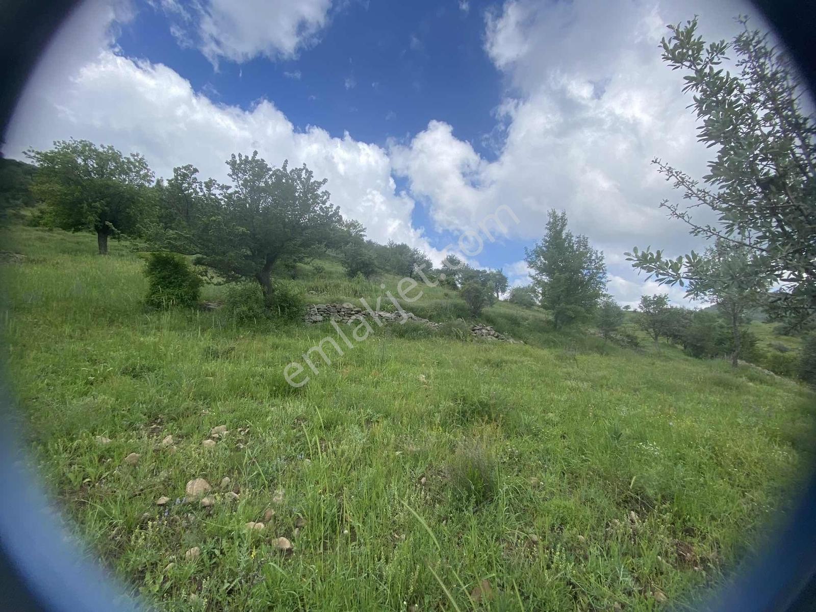 Kırker'den Kocatepe-zafer 15.343m² Satılık Kupon Tarla Bahçe ! — fotoğraf 9