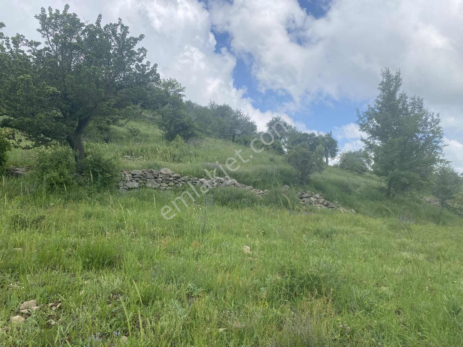 Kırker'den Kocatepe-zafer 15.343m² Satılık Kupon Tarla Bahçe ! — fotoğraf 10