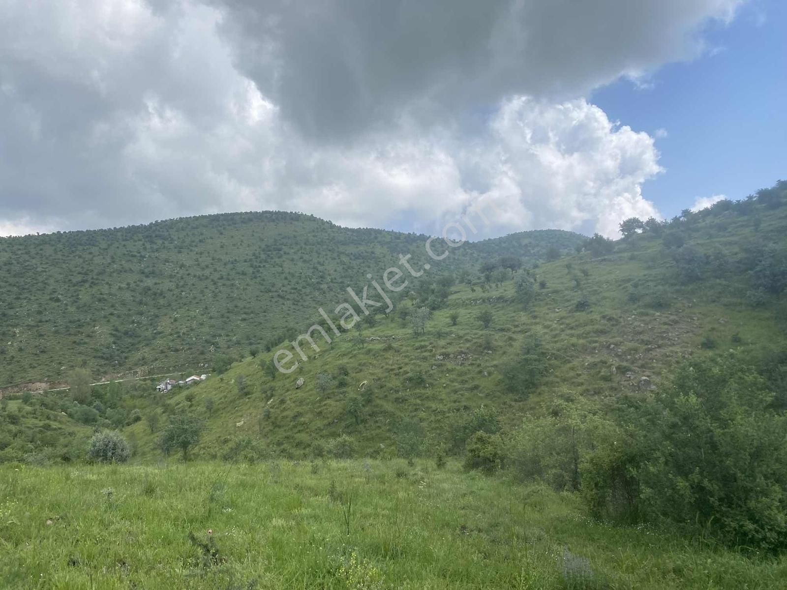 Kırker'den Kocatepe-zafer 15.343m² Satılık Kupon Tarla Bahçe ! — fotoğraf 11