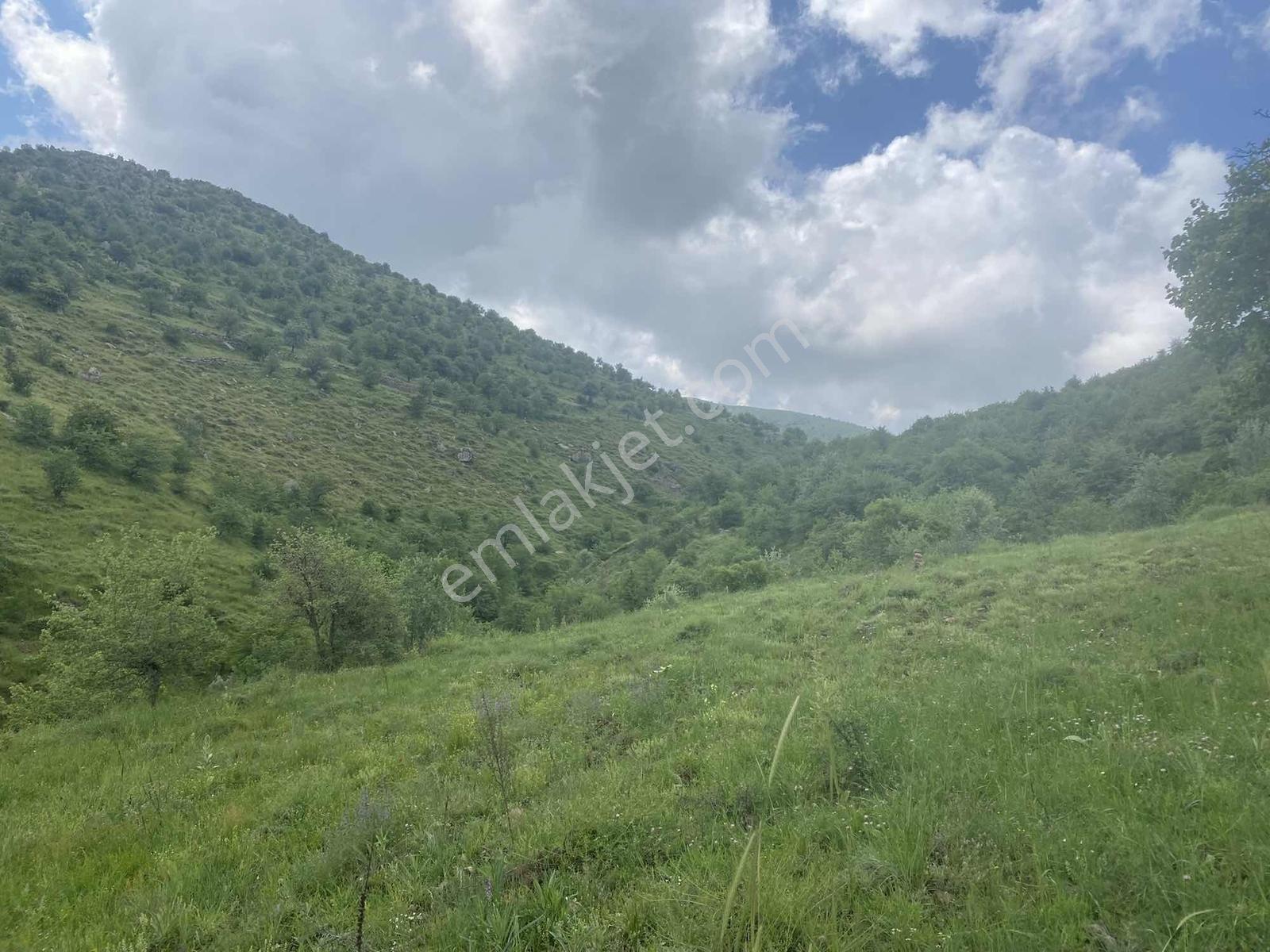Kırker'den Kocatepe-zafer 15.343m² Satılık Kupon Tarla Bahçe ! — fotoğraf 12