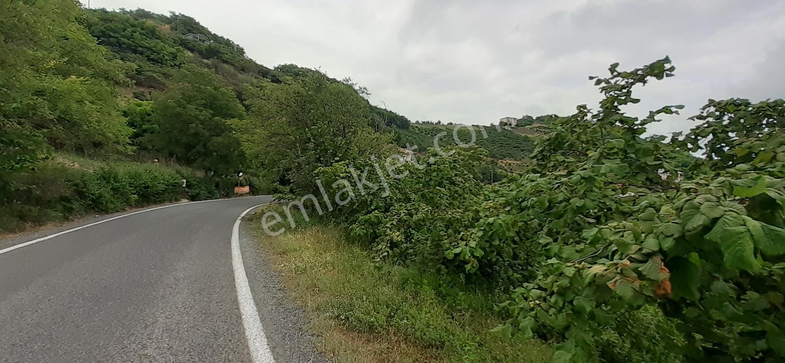 Redstone Dan Akyazı Gürbulak'ta 455m2 Satılık Arsa — fotoğraf 8