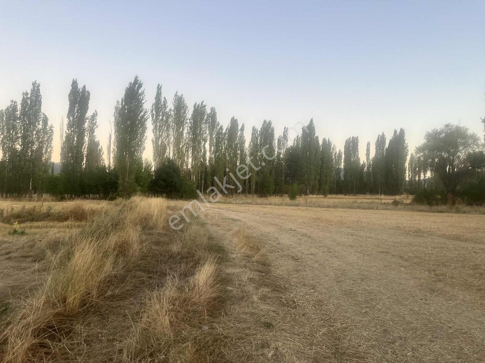 Kırker'den Ahmet Paşa'da 197.96 M² Satılık Fırsat Kupon Arsa ! — fotoğraf 6