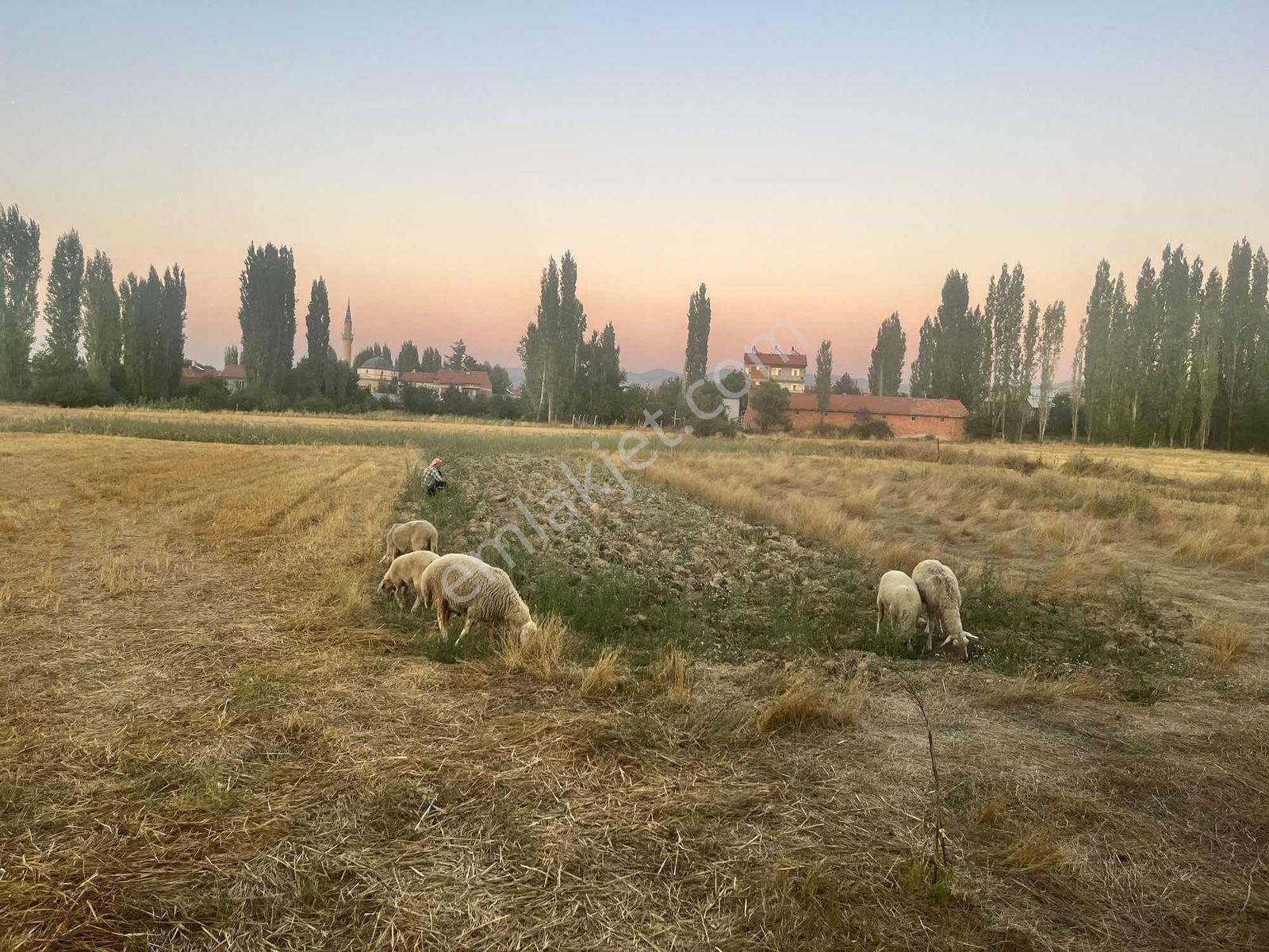 Kırker'den Ahmet Paşa'da 197.96 M² Satılık Fırsat Kupon Arsa ! — fotoğraf 9