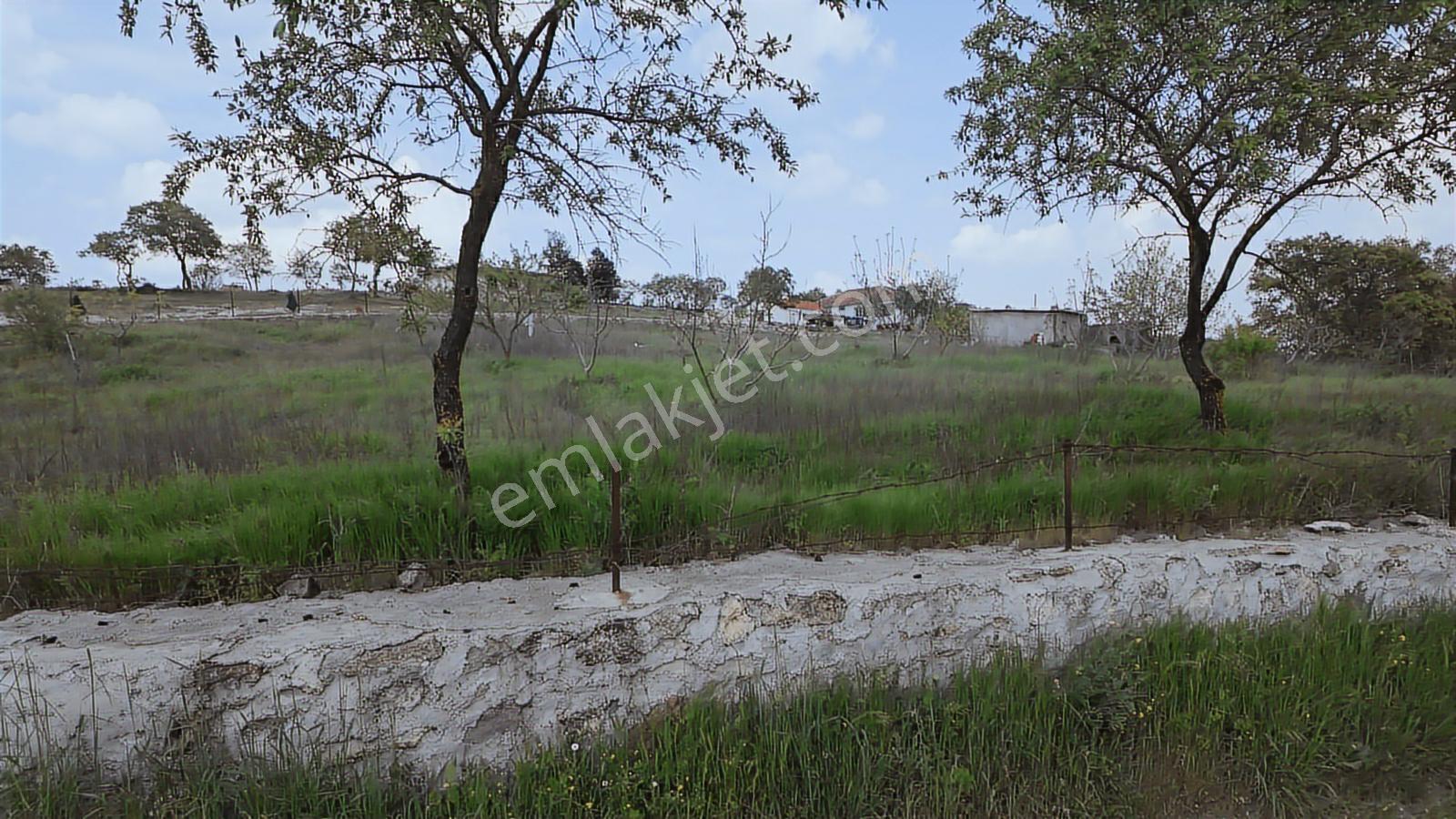 Hazır Projeli Müstakil Tapulu Arsalar — fotoğraf 4