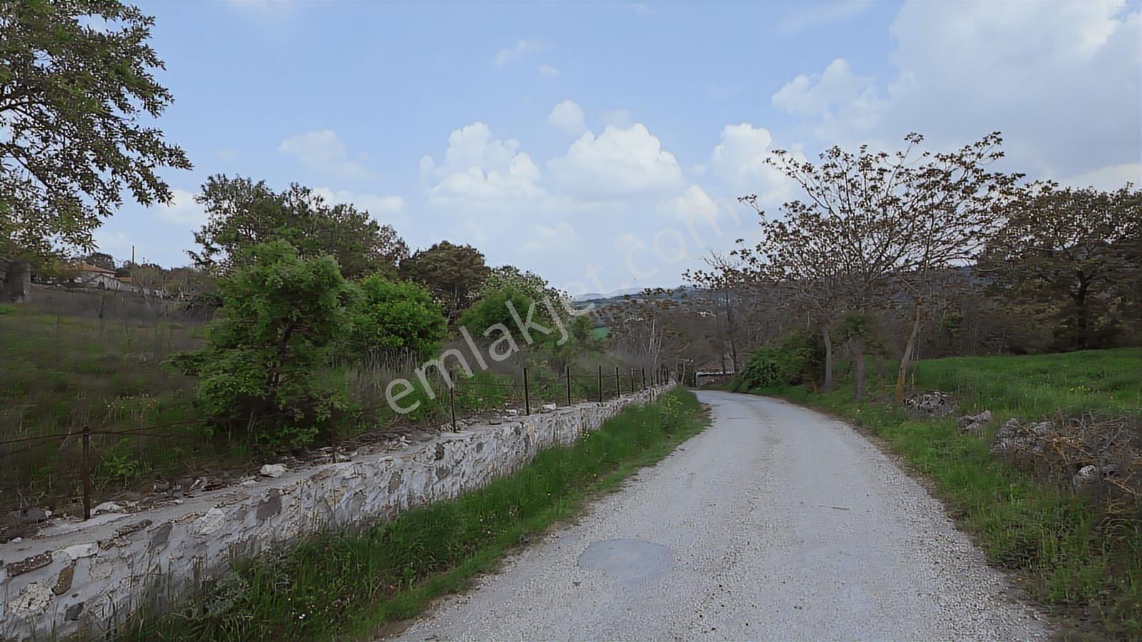 Hazır Projeli Müstakil Tapulu Arsalar — fotoğraf 5