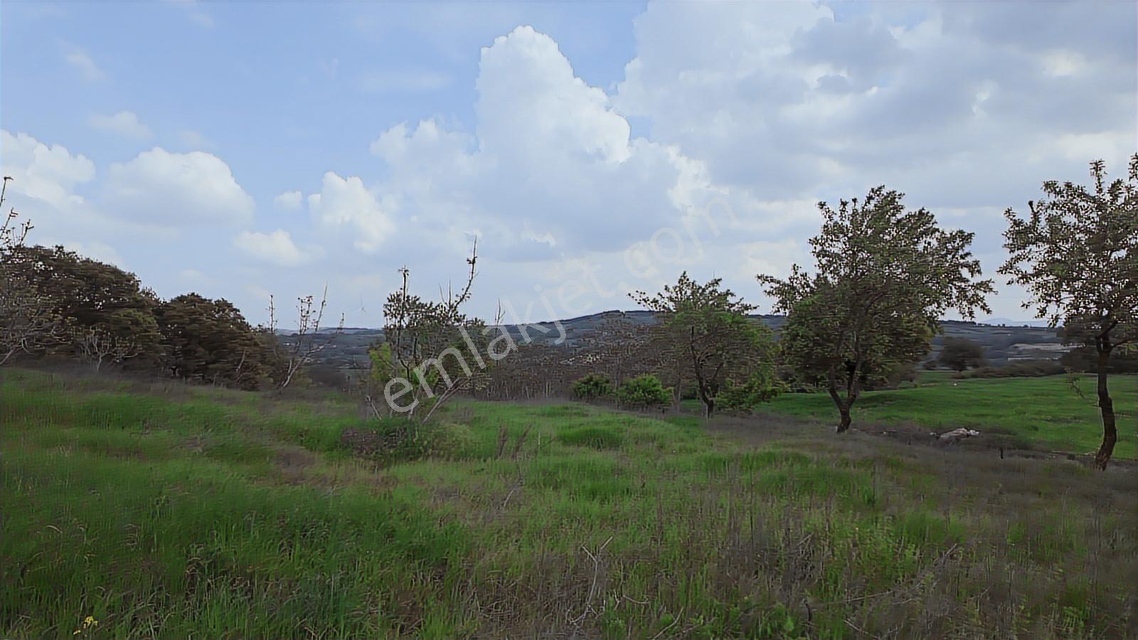 Hazır Projeli Müstakil Tapulu Arsalar — fotoğraf 6