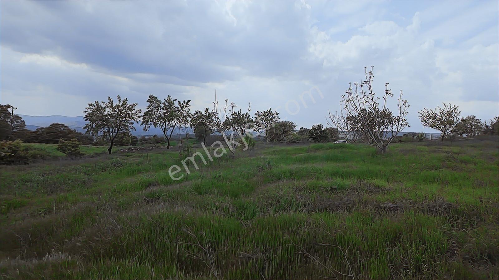 Hazır Projeli Müstakil Tapulu Arsalar — fotoğraf 7
