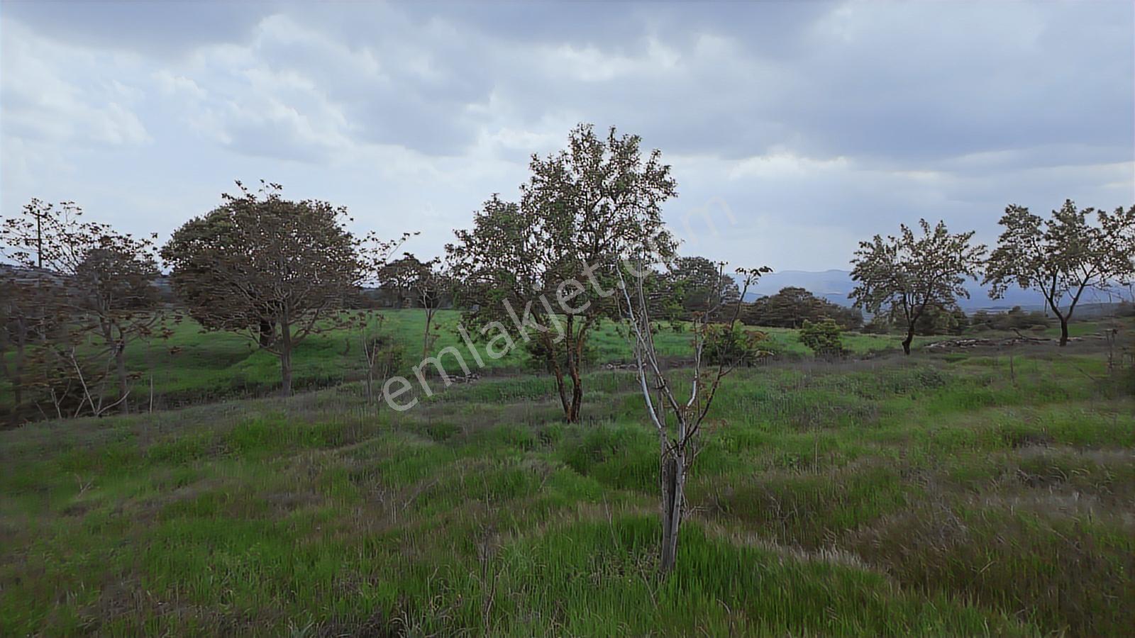 Hazır Projeli Müstakil Tapulu Arsalar — fotoğraf 8