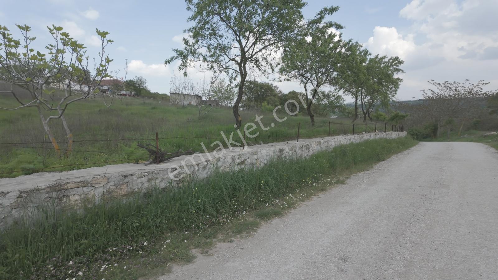 Hazır Projeli Müstakil Tapulu Arsalar — fotoğraf 15
