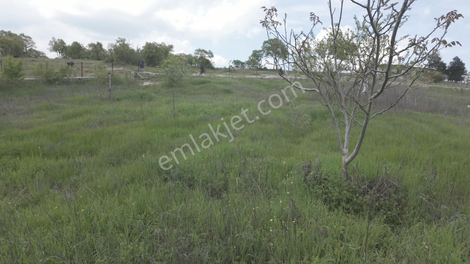 Hazır Projeli Müstakil Tapulu Arsalar — fotoğraf 19