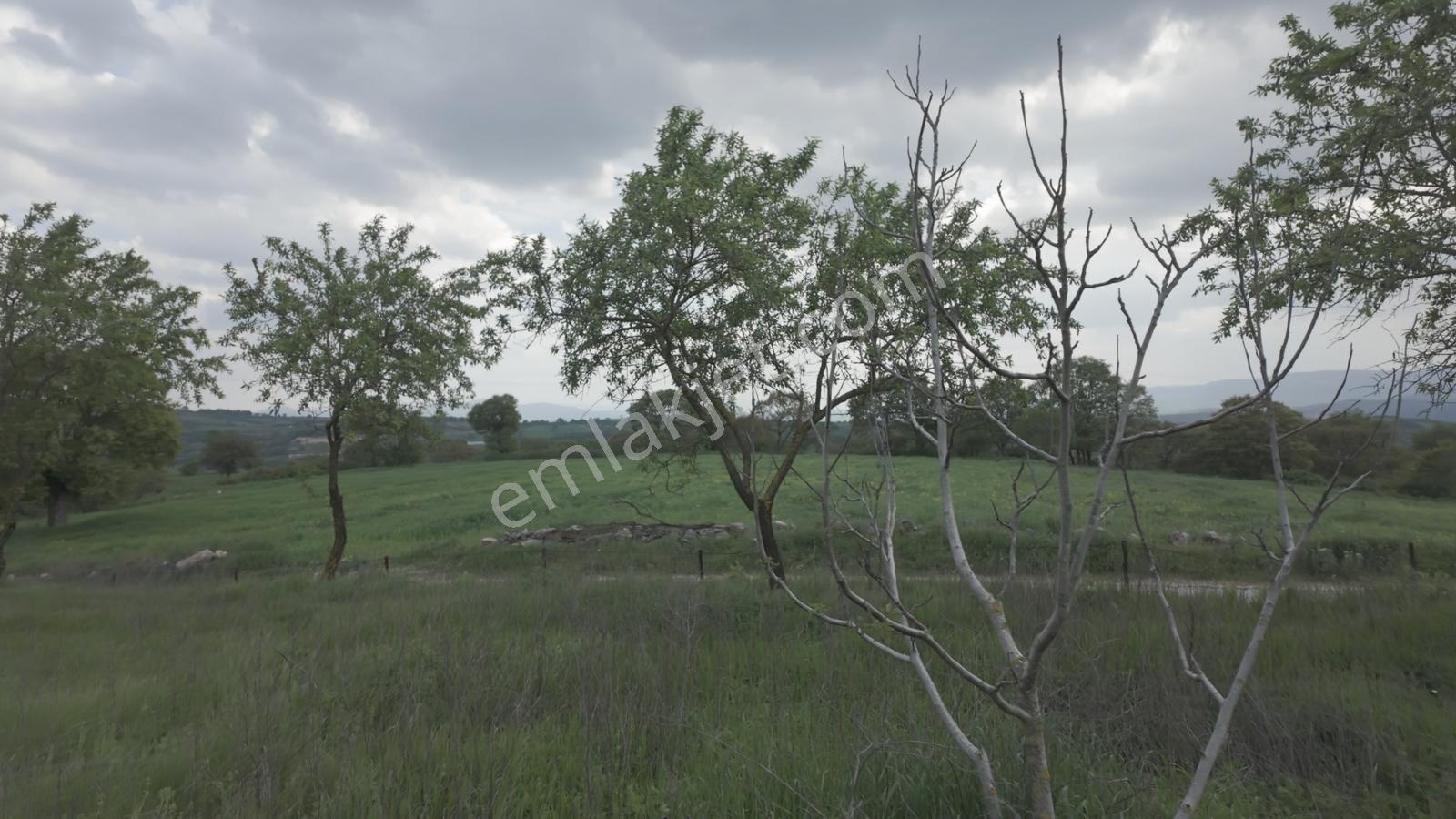 Hazır Projeli Müstakil Tapulu Arsalar — fotoğraf 20