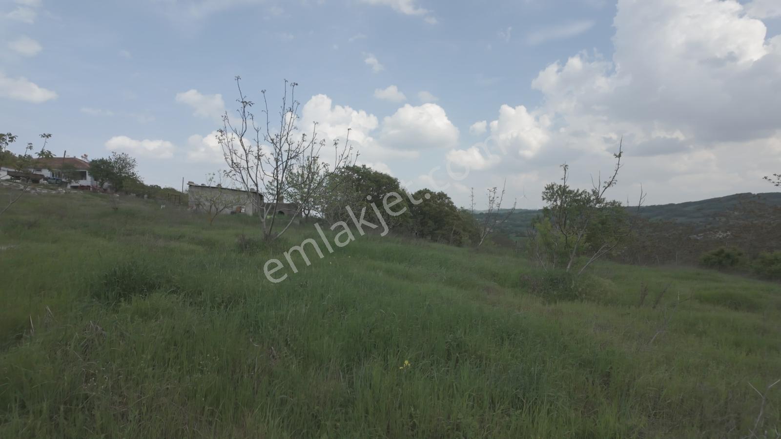 Hazır Projeli Müstakil Tapulu Arsalar — fotoğraf 21