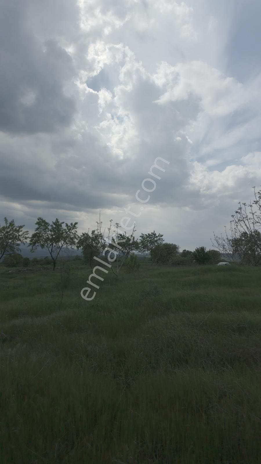 Hazır Projeli Müstakil Tapulu Arsalar — fotoğraf 22