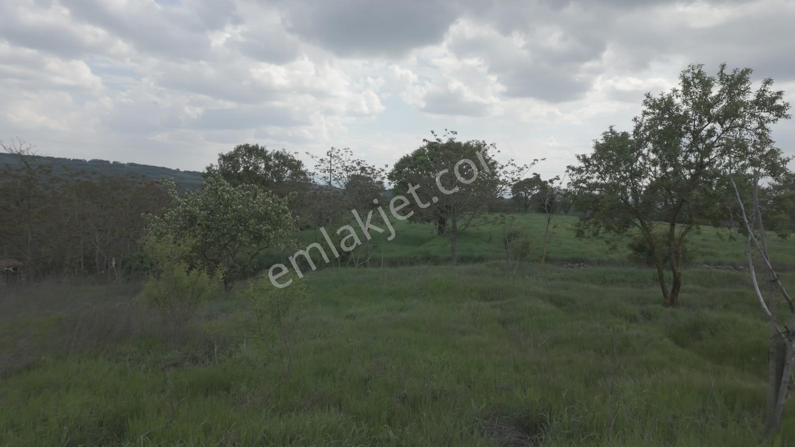 Hazır Projeli Müstakil Tapulu Arsalar — fotoğraf 25