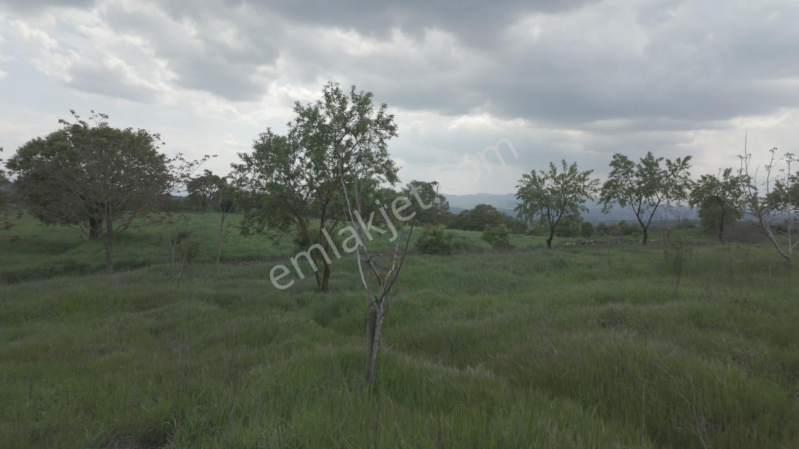 Hazır Projeli Müstakil Tapulu Arsalar — fotoğraf 26