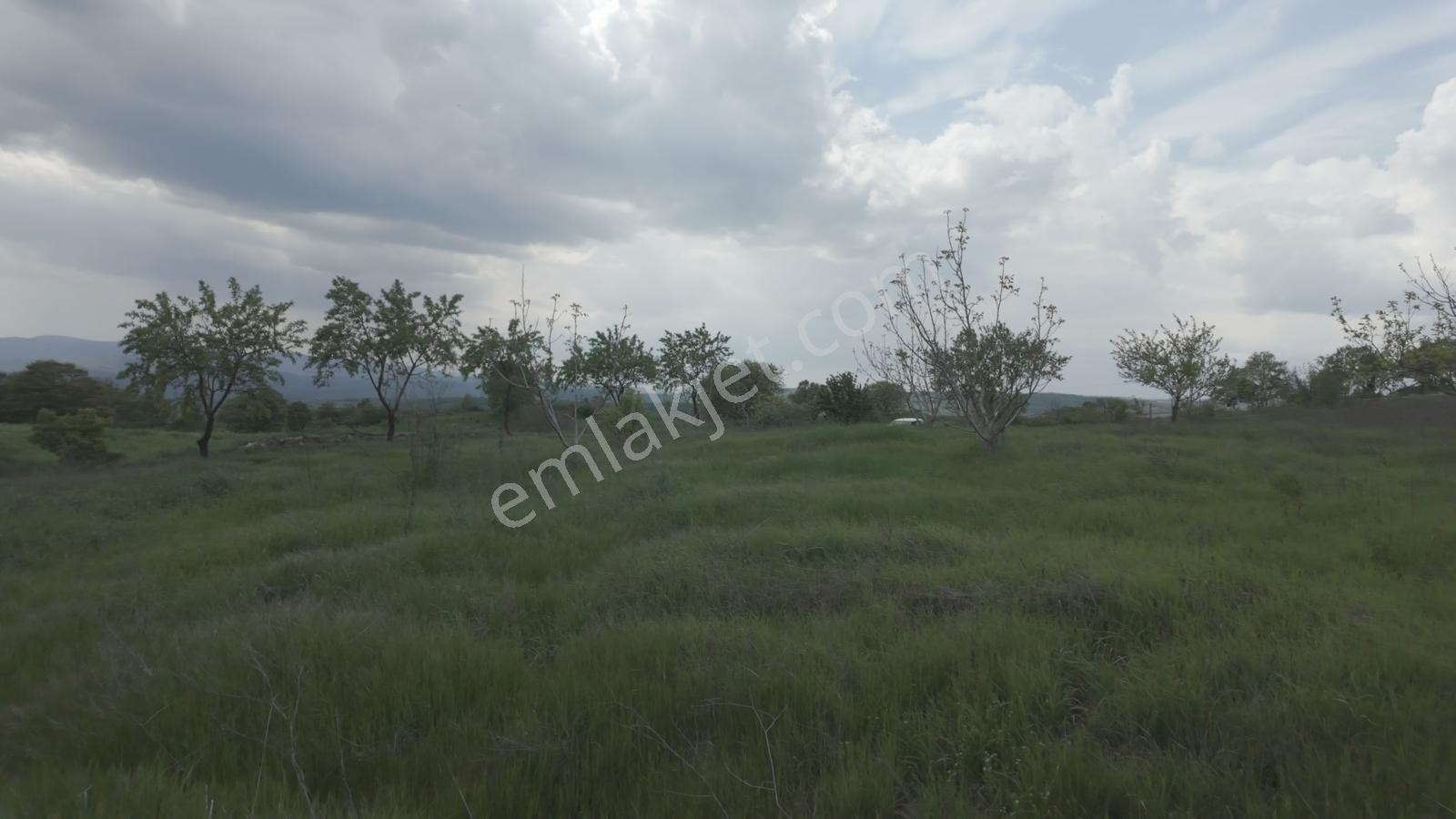 Hazır Projeli Müstakil Tapulu Arsalar — fotoğraf 27