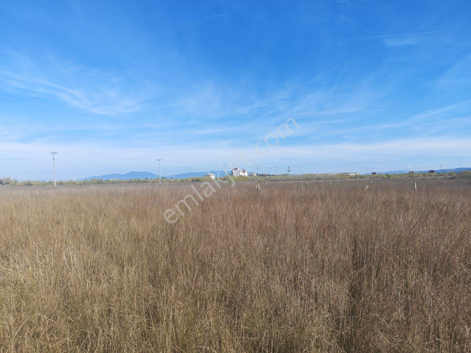 290 M² Deniz Manzaralı Villa Arsası Denize 750 Mt Pınarkentte — fotoğraf 24