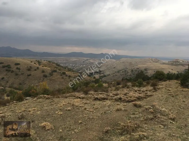 Kent Emlaktan Kutludüğünde Satılık 346 Metre Satılık Arsa — fotoğraf 8