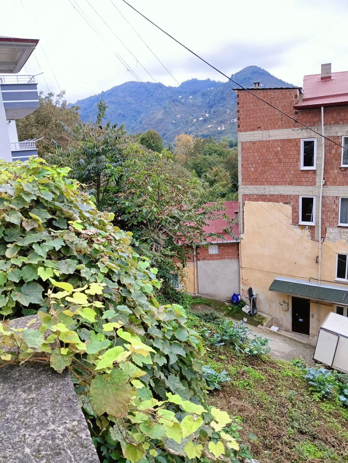 Wisrem'den Giresun Merkezde Satılık Fırsat Arsa — fotoğraf 5