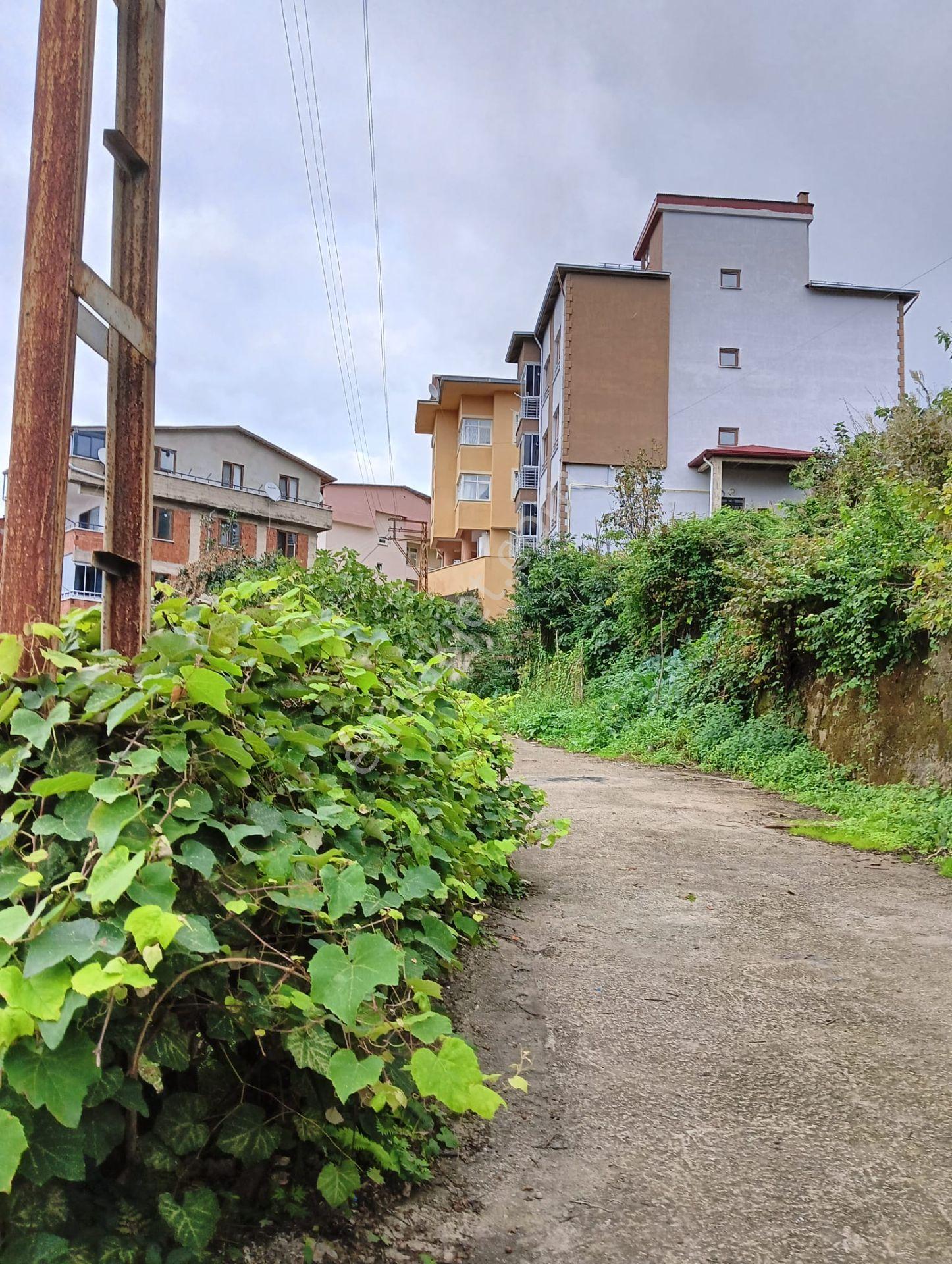 Wisrem'den Giresun Merkezde Satılık Fırsat Arsa — fotoğraf 7