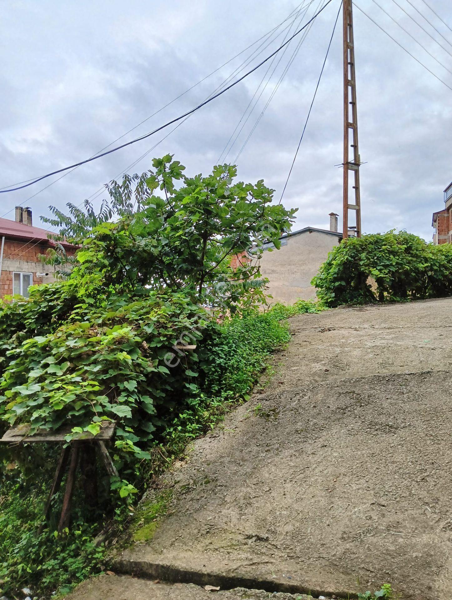 Wisrem'den Giresun Merkezde Satılık Fırsat Arsa — fotoğraf 14