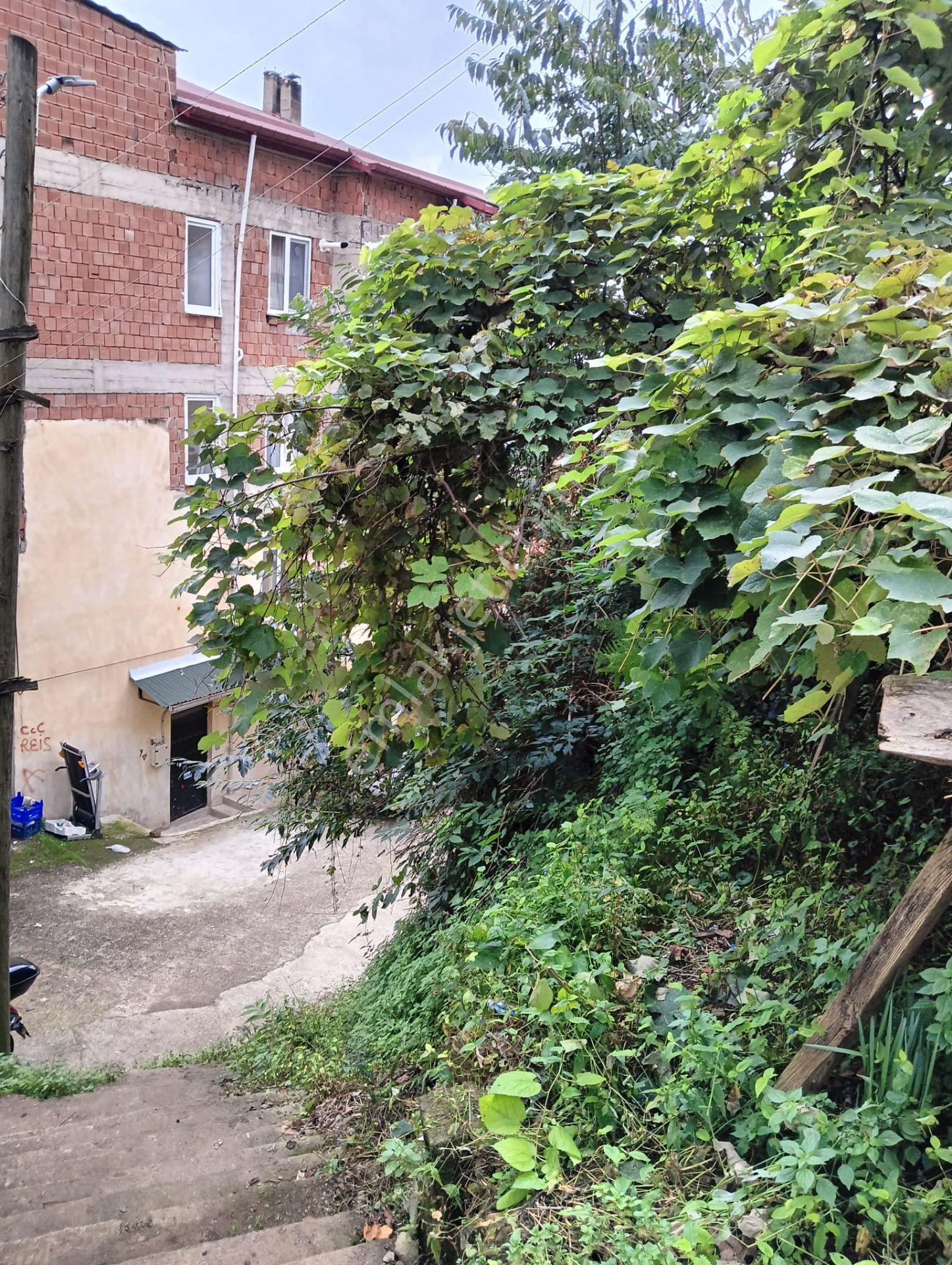 Wisrem'den Giresun Merkezde Satılık Fırsat Arsa — fotoğraf 16
