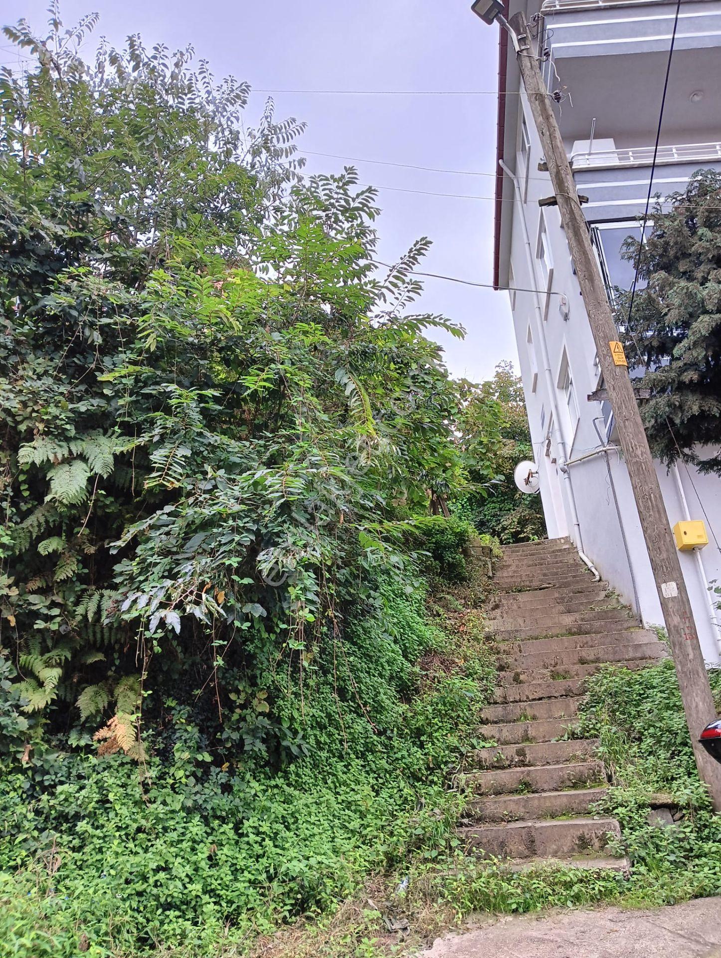 Wisrem'den Giresun Merkezde Satılık Fırsat Arsa — fotoğraf 18
