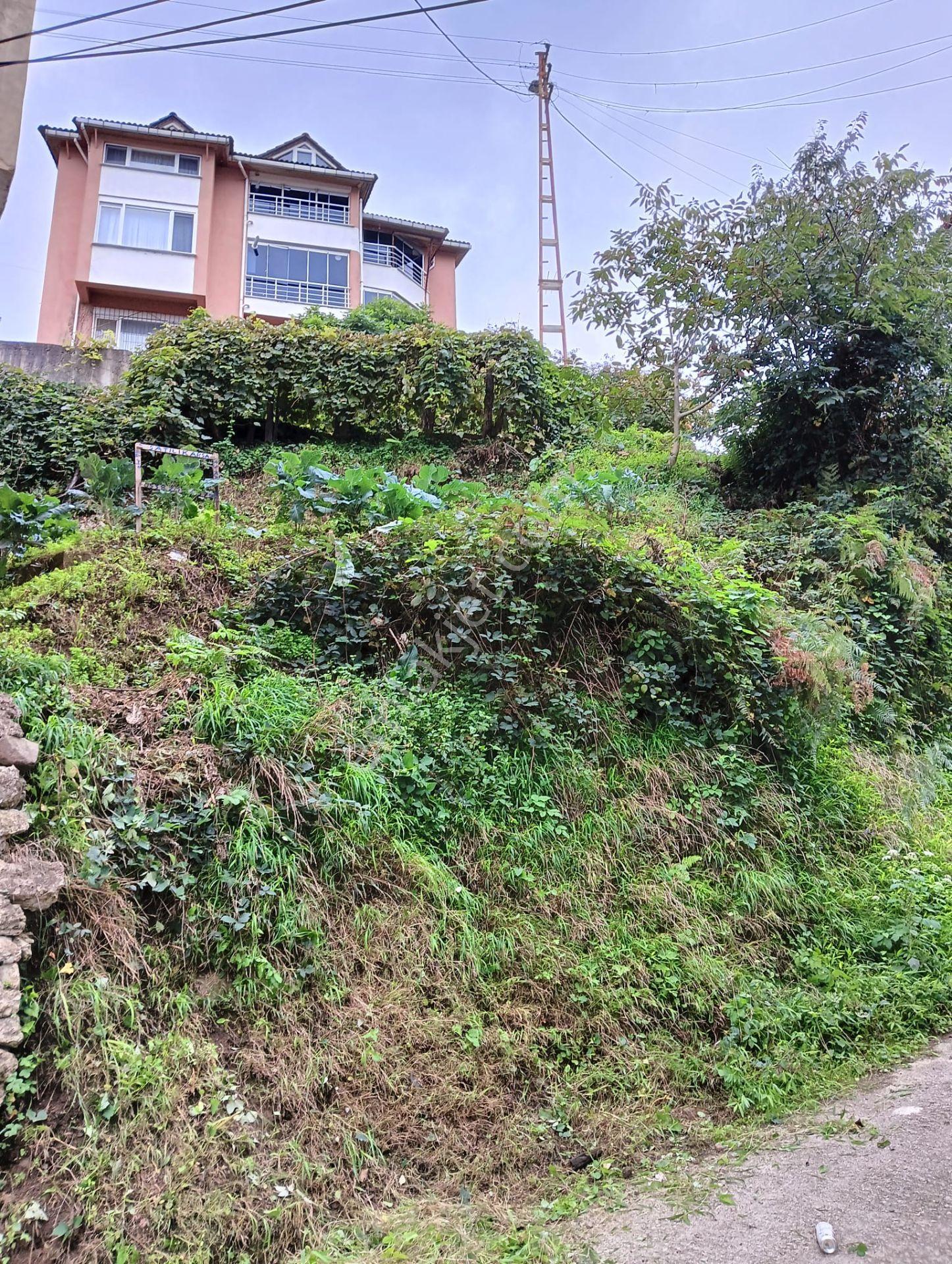 Wisrem'den Giresun Merkezde Satılık Fırsat Arsa — fotoğraf 19