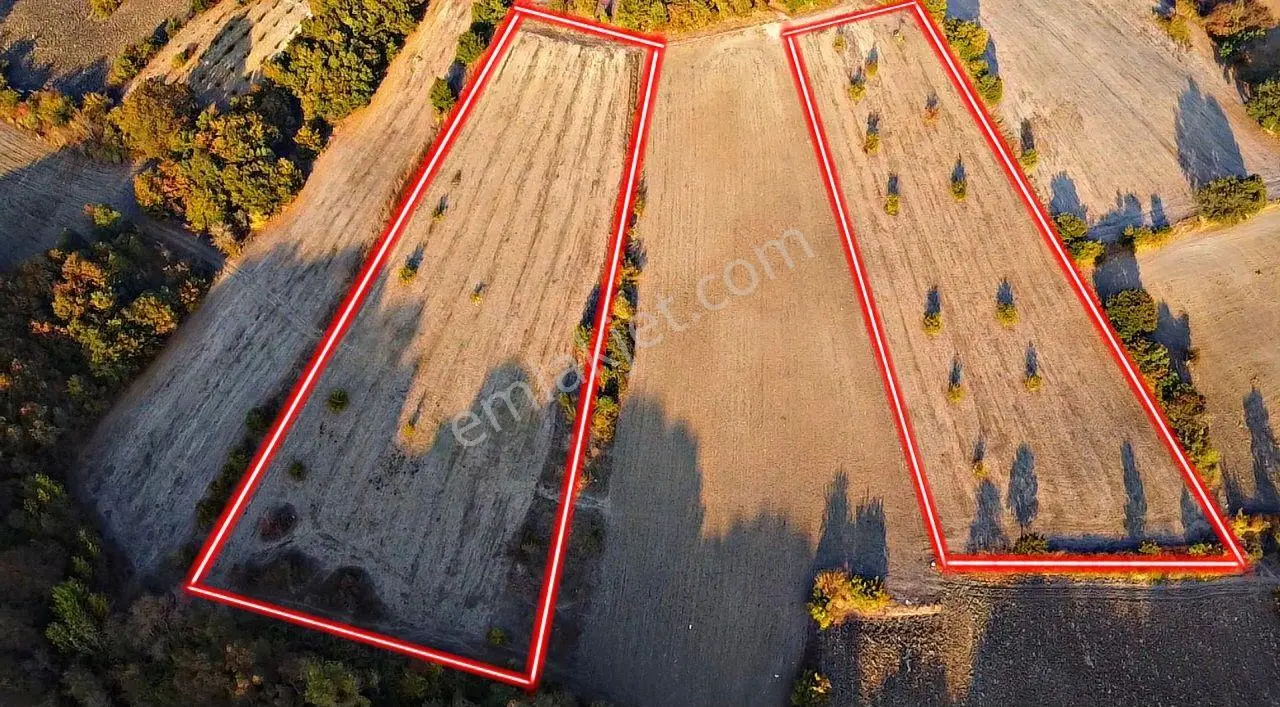 Bursa M.k.paşa Kapaklıoluk Köyünde Satılık 14.700 M2 Dut Bahçesi — fotoğraf 2