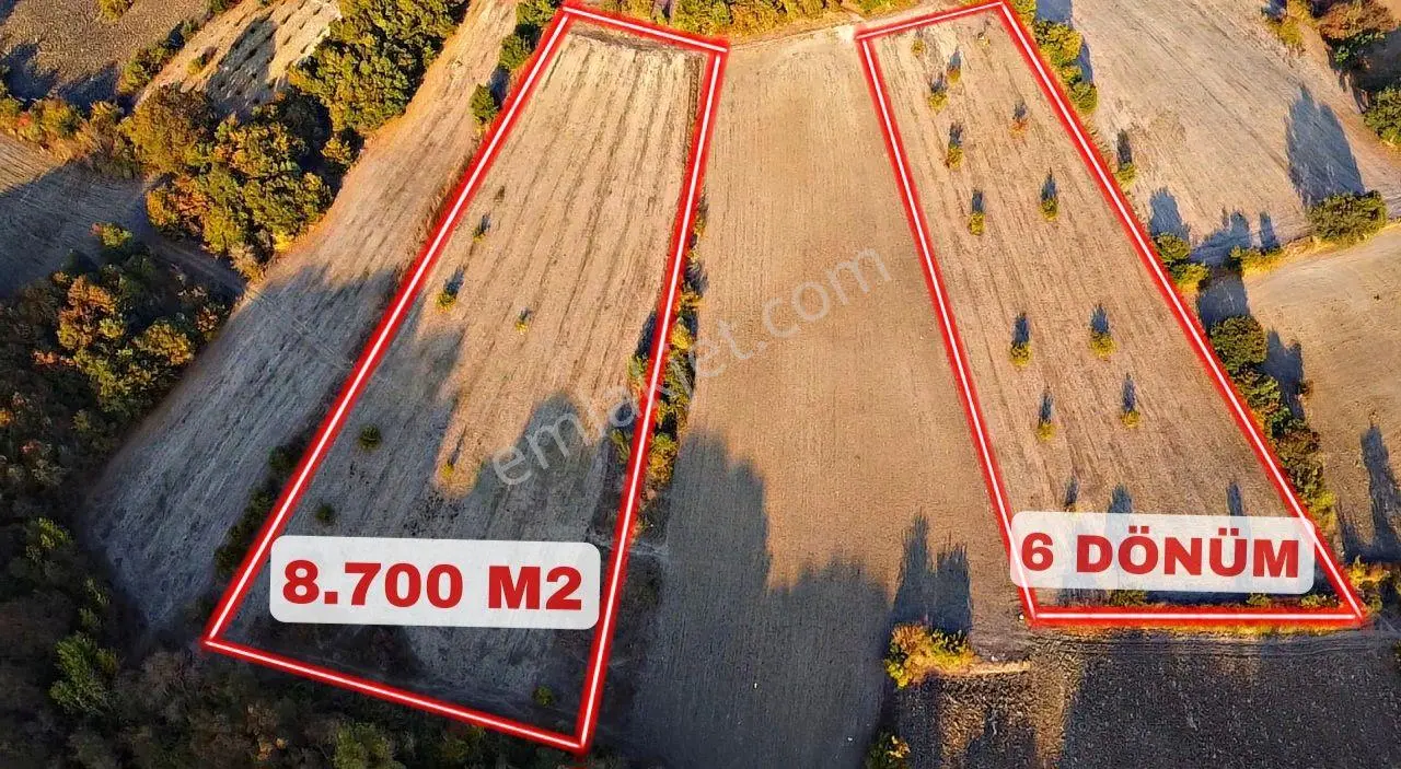 Bursa M.k.paşa Kapaklıoluk Köyünde Satılık 14.700 M2 Dut Bahçesi — fotoğraf 3