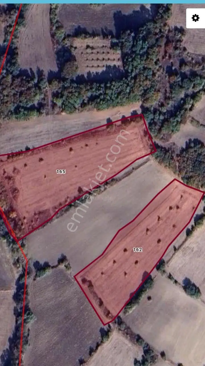 Bursa M.k.paşa Kapaklıoluk Köyünde Satılık 14.700 M2 Dut Bahçesi — fotoğraf 10