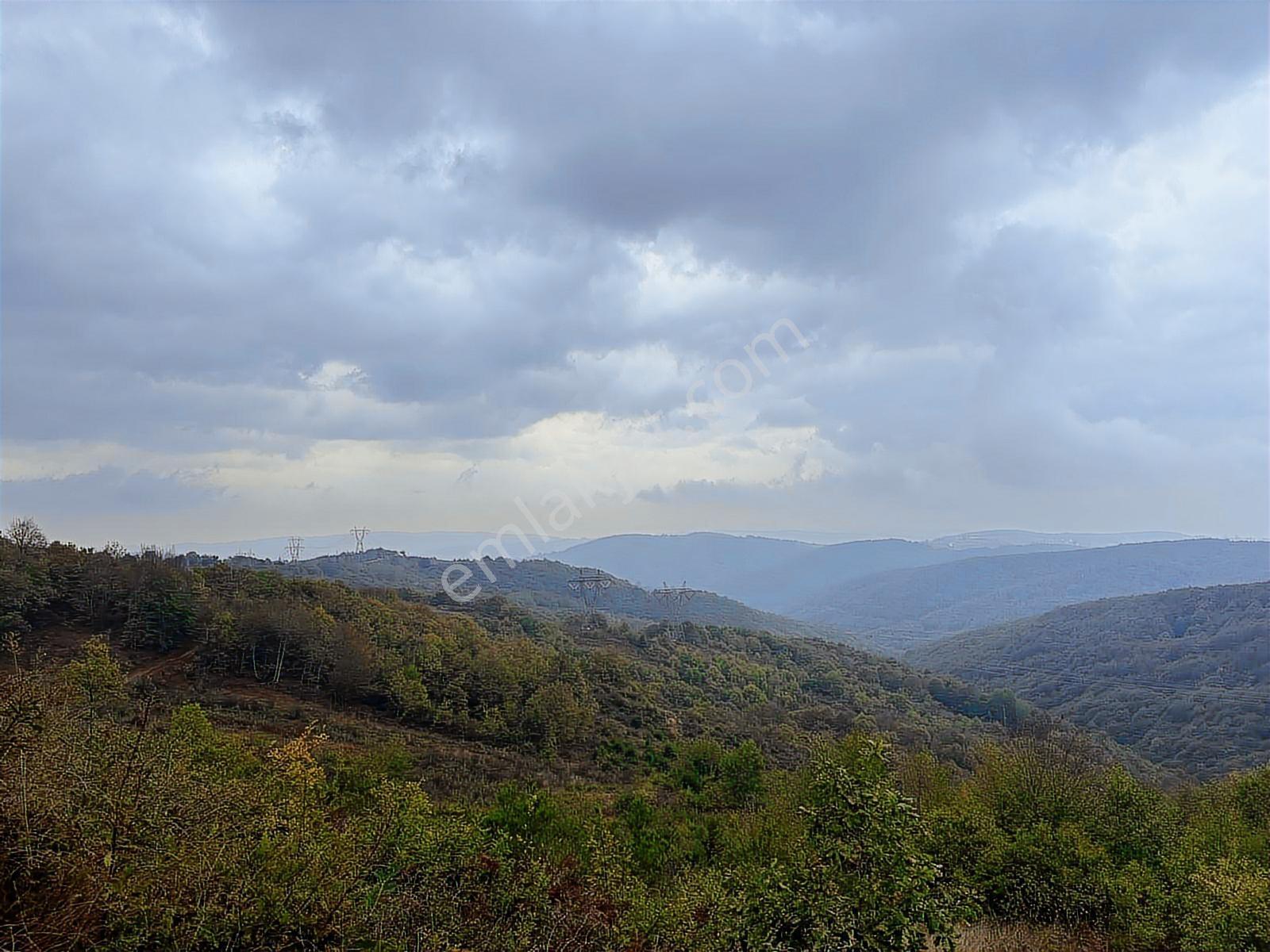 Kocaelı Izmıt 26 Dönüm Satılık Büyük Parsel Yola 250 Metre Cephe — fotoğraf 7