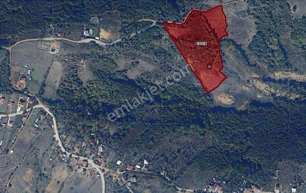 Kocaelı Izmıt 26 Dönüm Satılık Büyük Parsel Yola 250 Metre Cephe — fotoğraf 10