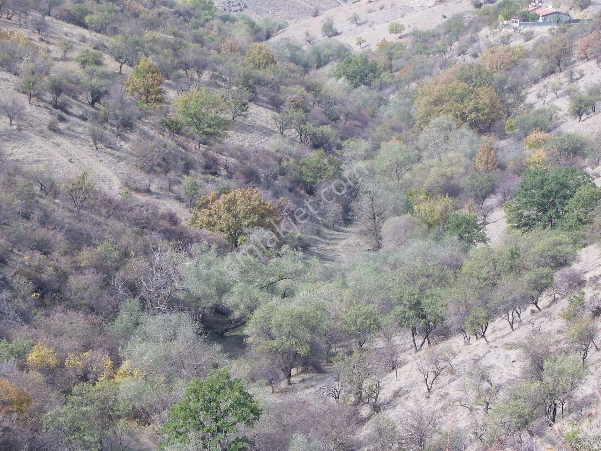 Kent Emlaktan Çankaya Tapulu 217 Metre Yola Yakın Satılık Arsa — fotoğraf 12