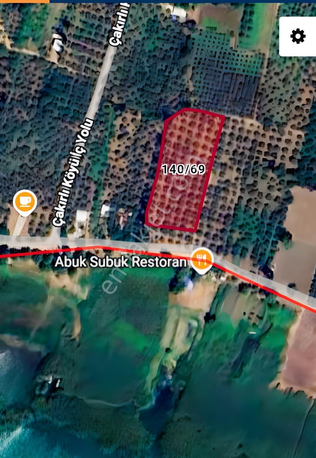 Göle Sıfır 5.171 M2 Yatırımlık Zeytinlik 100 Ağaç Yolu Var — fotoğraf 2