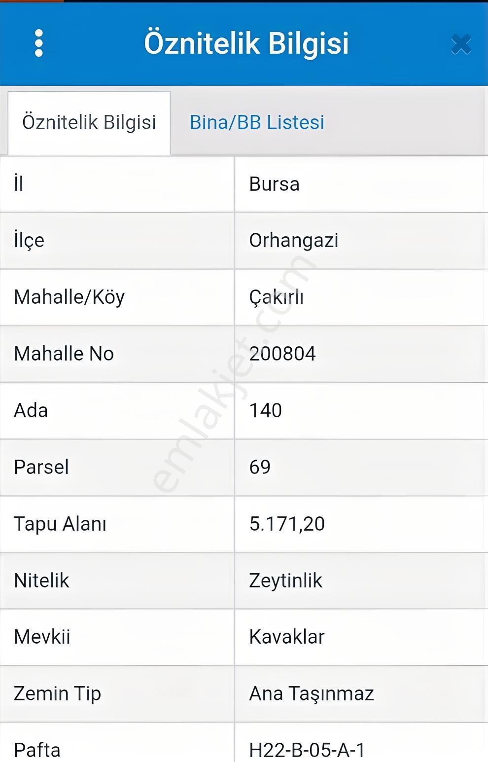 Göle Sıfır 5.171 M2 Yatırımlık Zeytinlik 100 Ağaç Yolu Var — fotoğraf 3